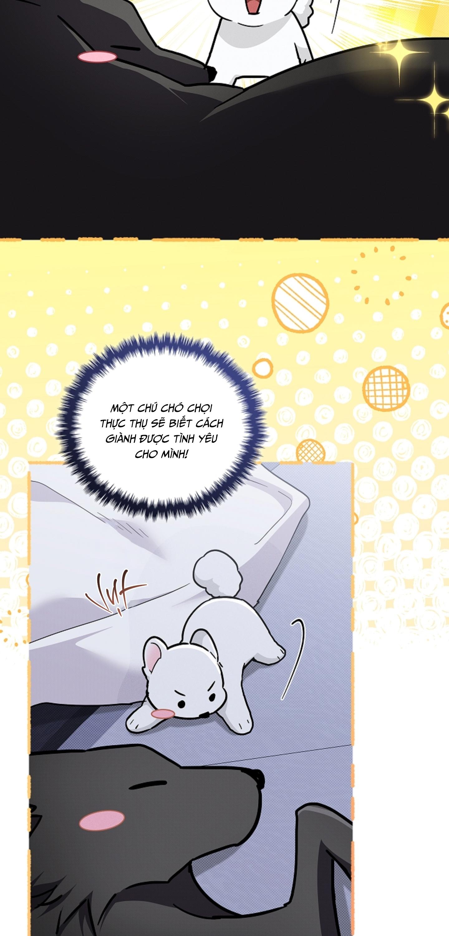 ĐỪNG CHẠM VÀO CÚN CON CỦA TÔI - Chap 51