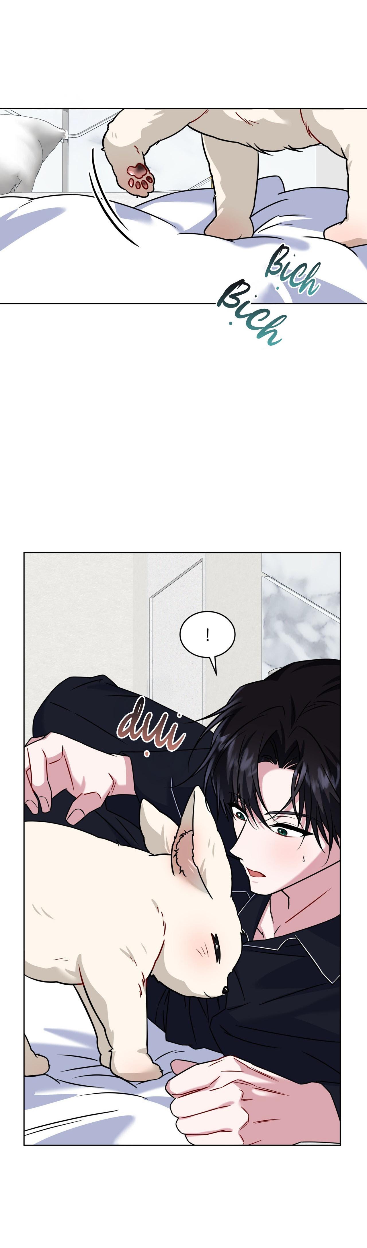 NƯỚC UỐNG TÌNH YÊU CỦA CÁO PLIN - Chap 46