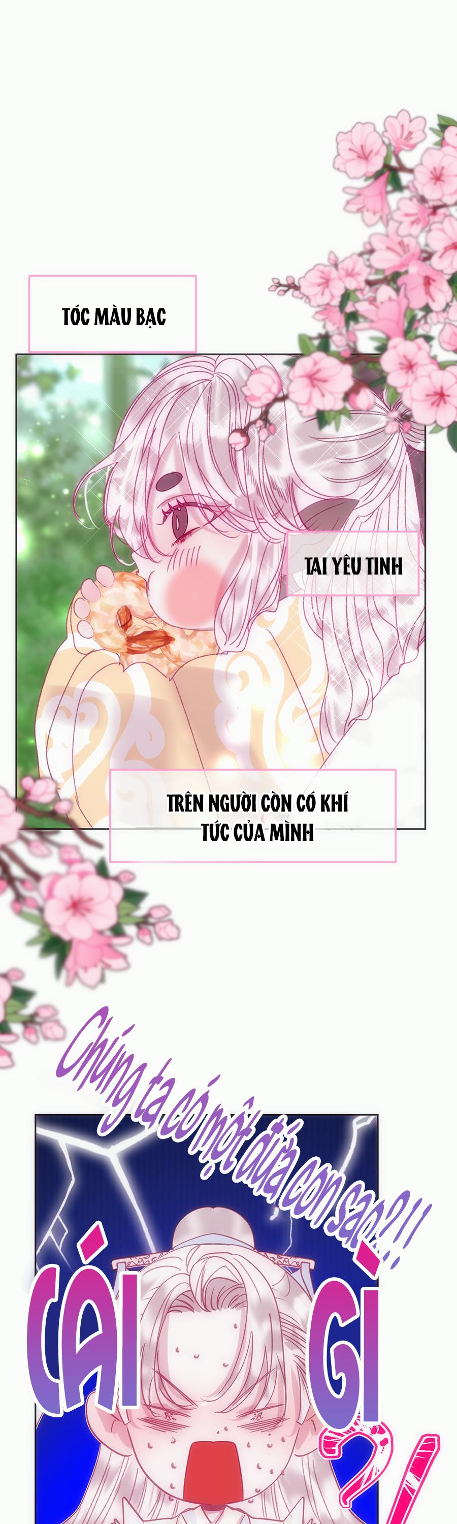 Vài Câu Chuyện Với Sư Tôn Sau Khi Xuyên Sách - Chap 77.1 - Trang 11