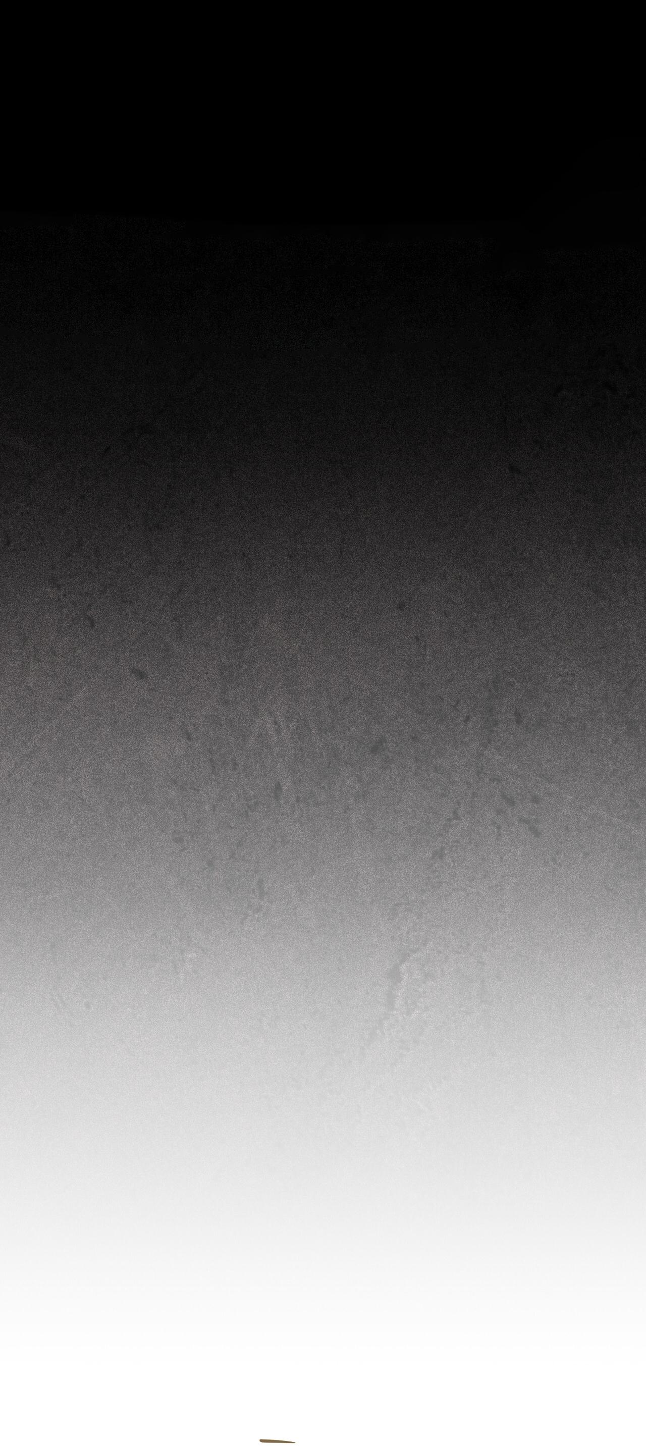 (GĐCV) HÌNH THÁI TIẾN HÓA - Chap 8