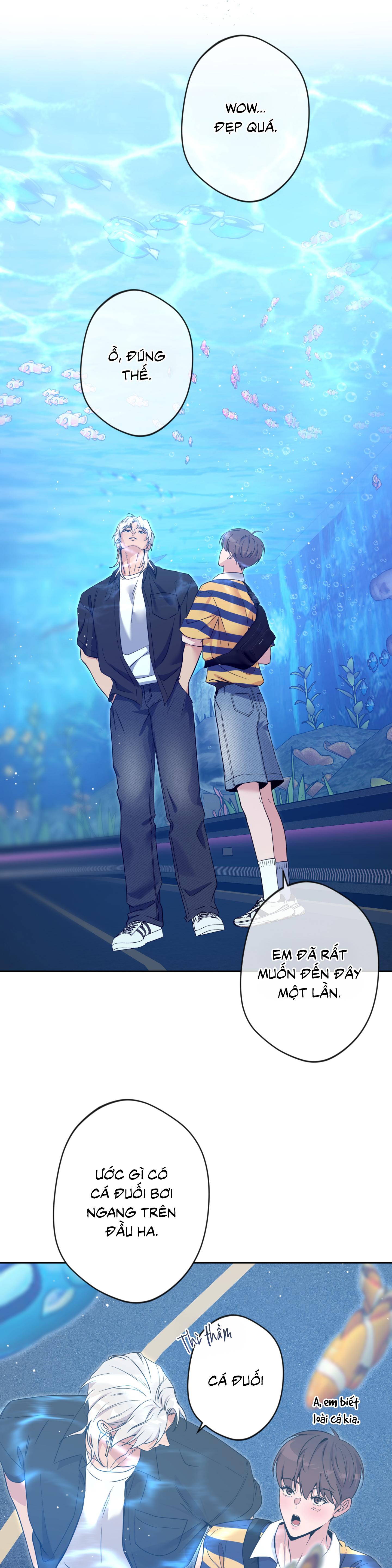 Angel kiss - Chap 50