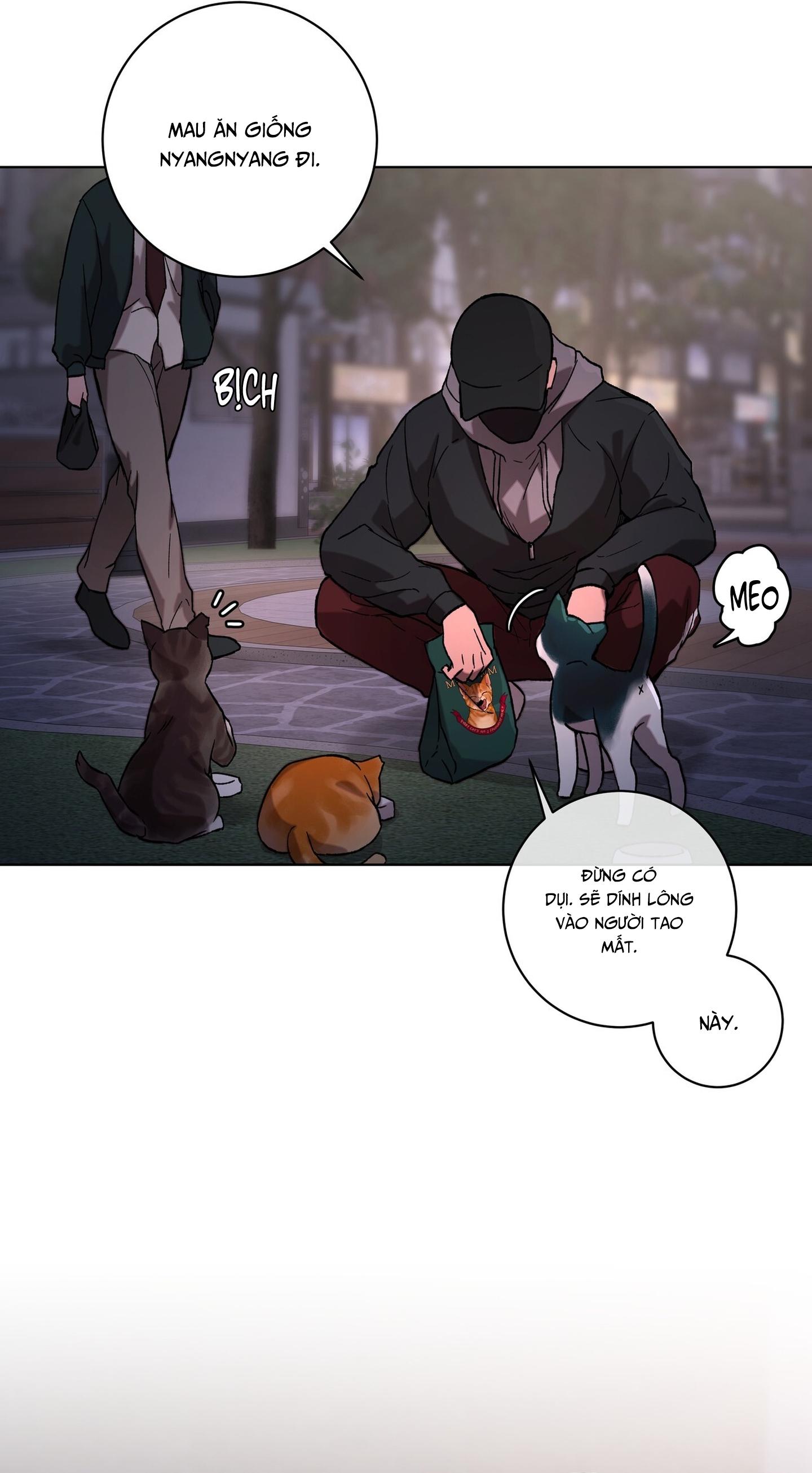 TUYỂN TẬP ÁM ẢNH, MƯU MÔ CÔNG - Chap 9.1 - Trang 13