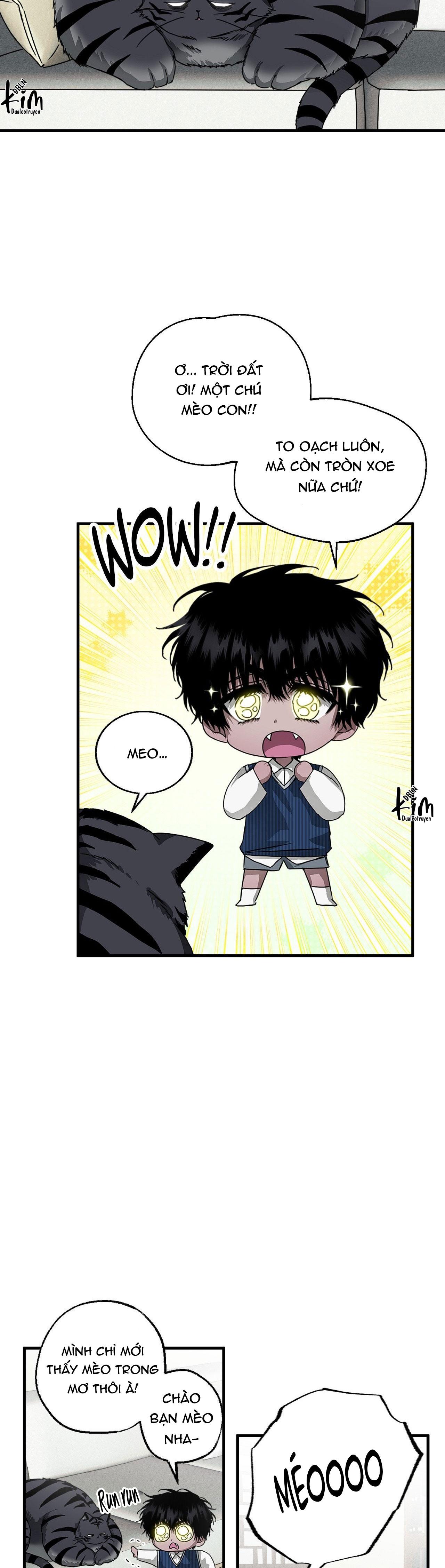 MẮT BÃO - Chap 13