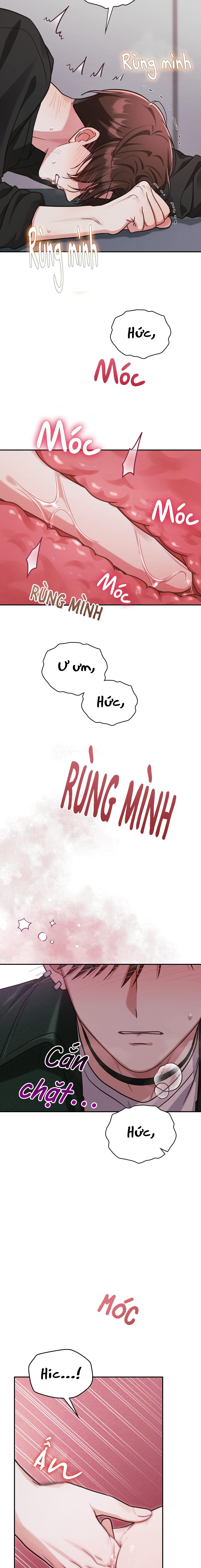 Dù Không Phải Guide Định Mệnh Của Cậu - Chap 12