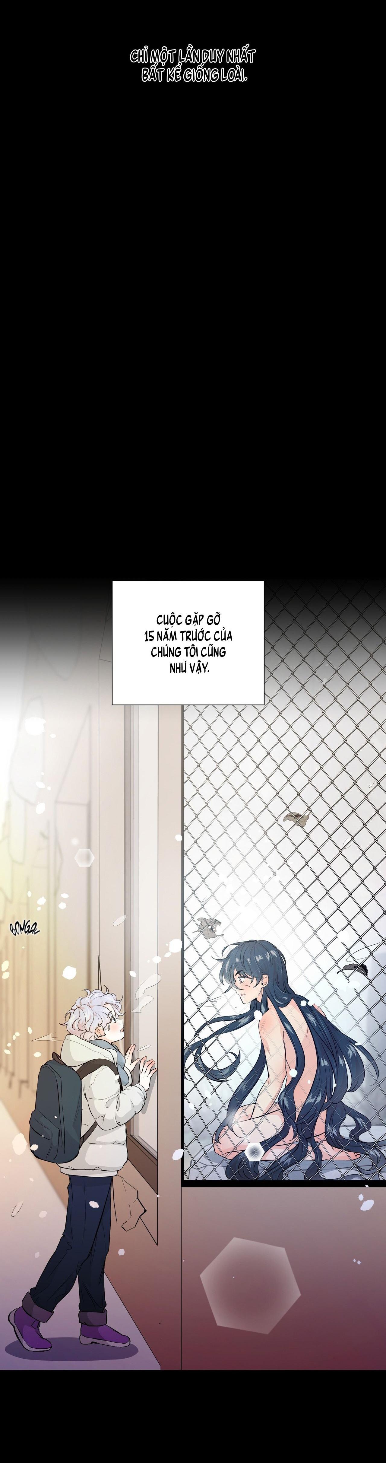 BÁNH GẠO SINH NHẬT CỦA HỔ - Chap 1