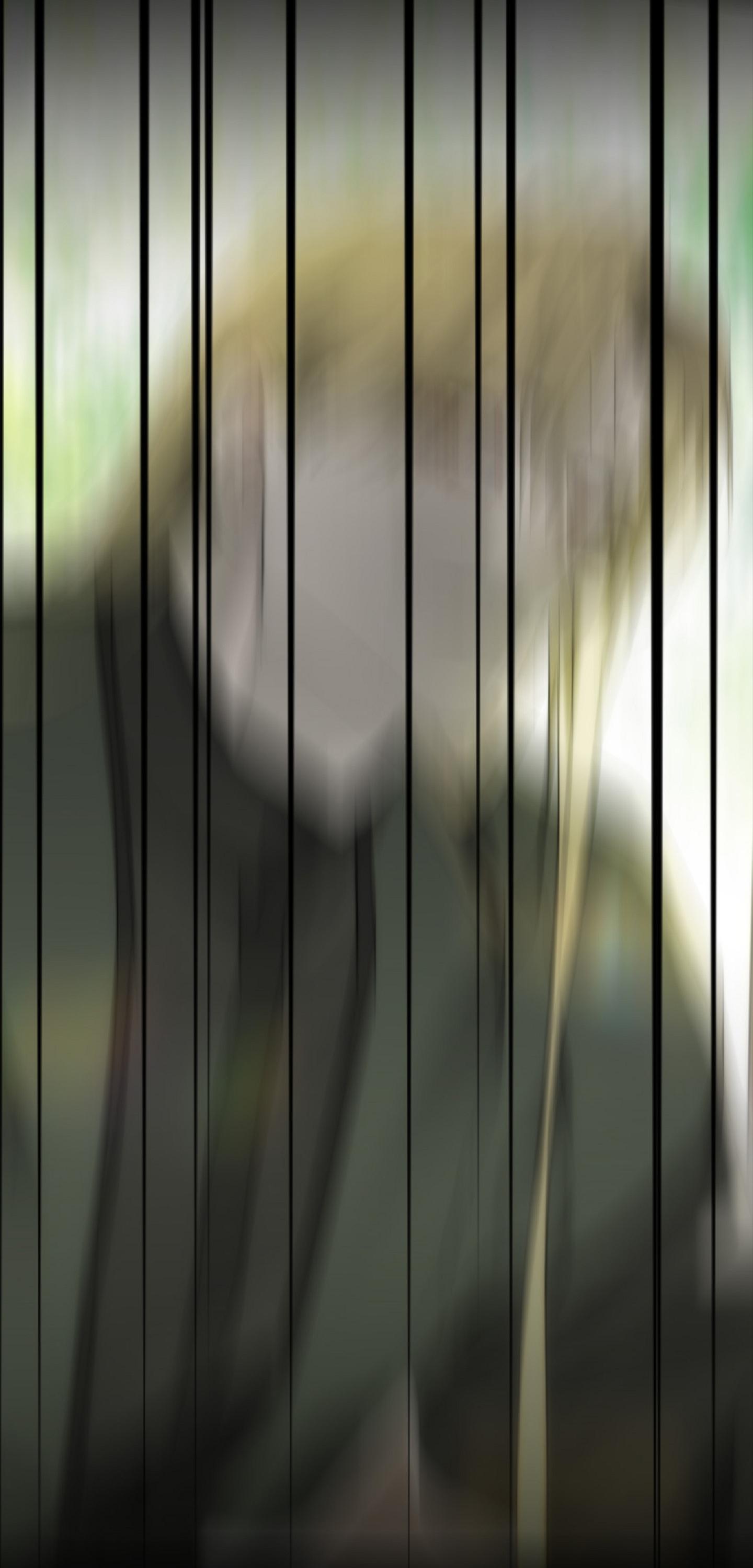 KHI VẬN MỆNH ĐƯA LỐI - Chap 5