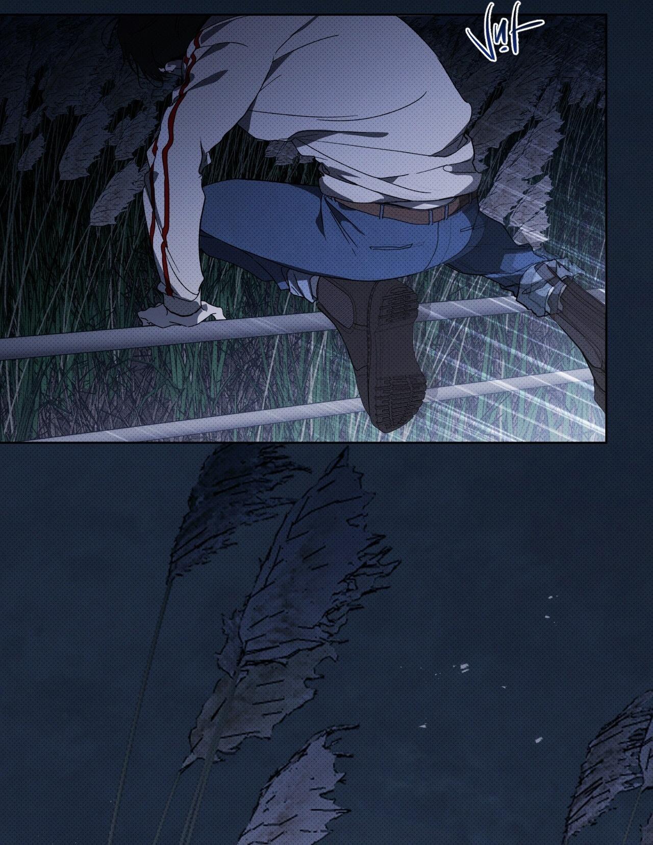 (GĐCV) HÌNH THÁI TIẾN HÓA - Chap 13