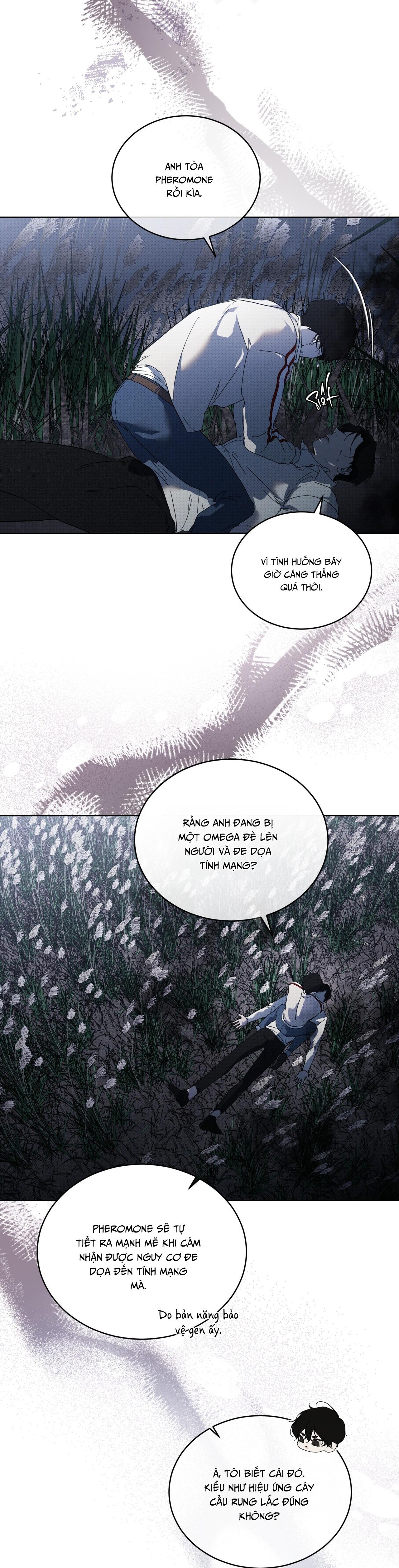 (GĐCV) HÌNH THÁI TIẾN HÓA - Chap 13