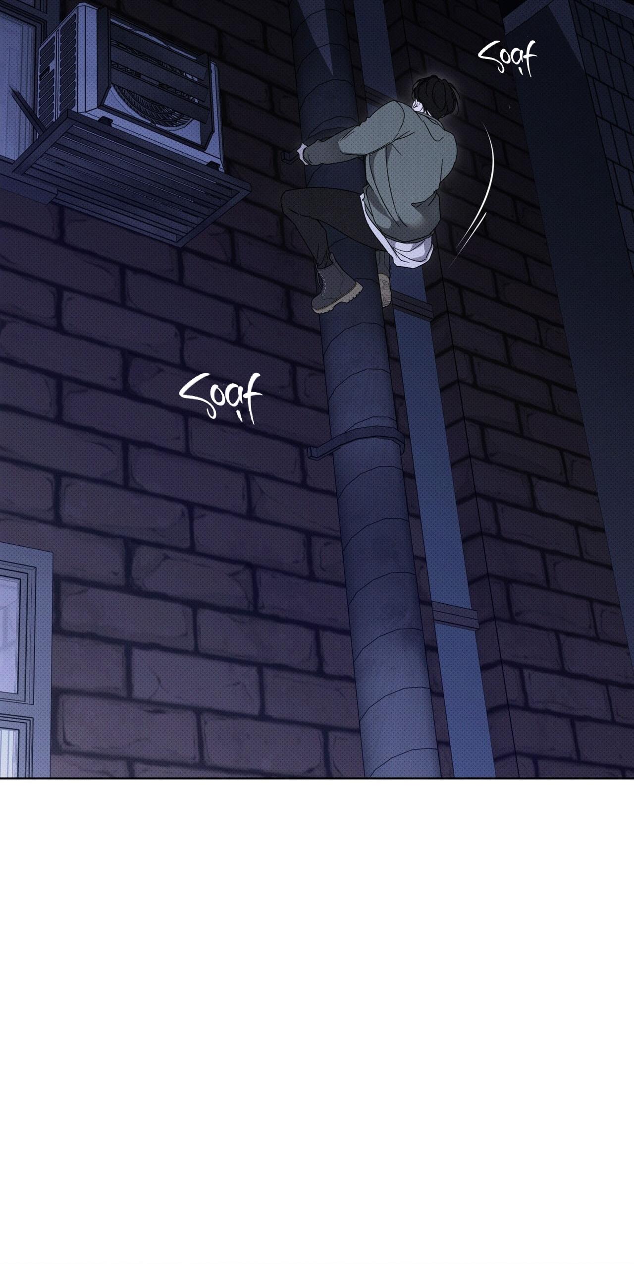 (GĐCV) HÌNH THÁI TIẾN HÓA - Chap 4