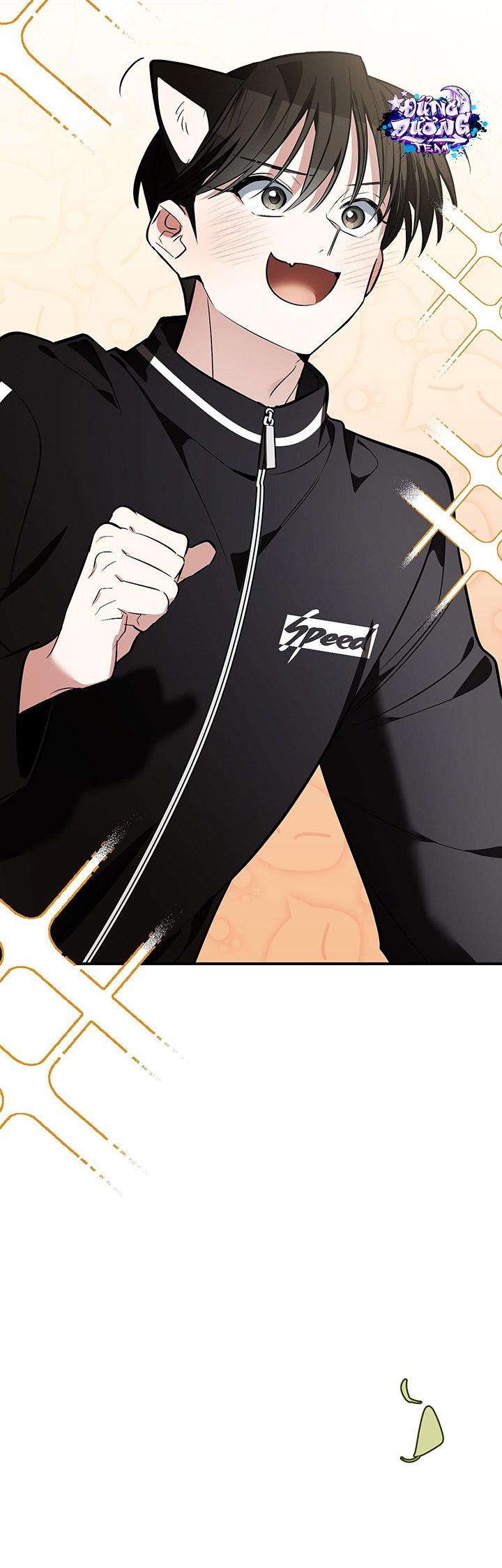 [DDT] HÃY SINH NHẤT MIÊU HÀI WILDCAT, NHƯ BẤT DỤC KIẾN NGÃ PHÁT CUỒNG! - Chap 1