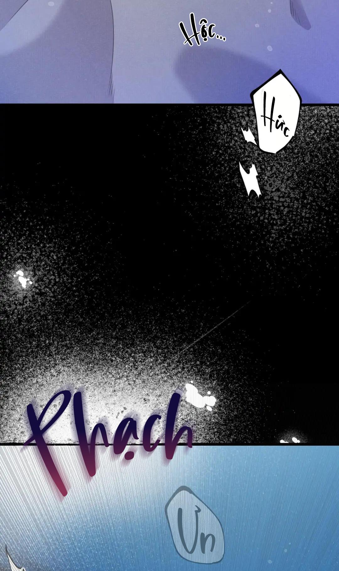 Báo Cáo Chụp Tuyến Tiền Liệt - Chap 7