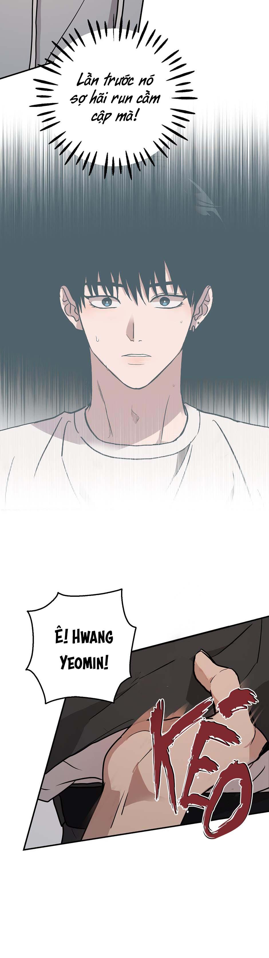 Lời Tán Tỉnh Ngọt Tựa Bánh Bích Quy - Chap 36