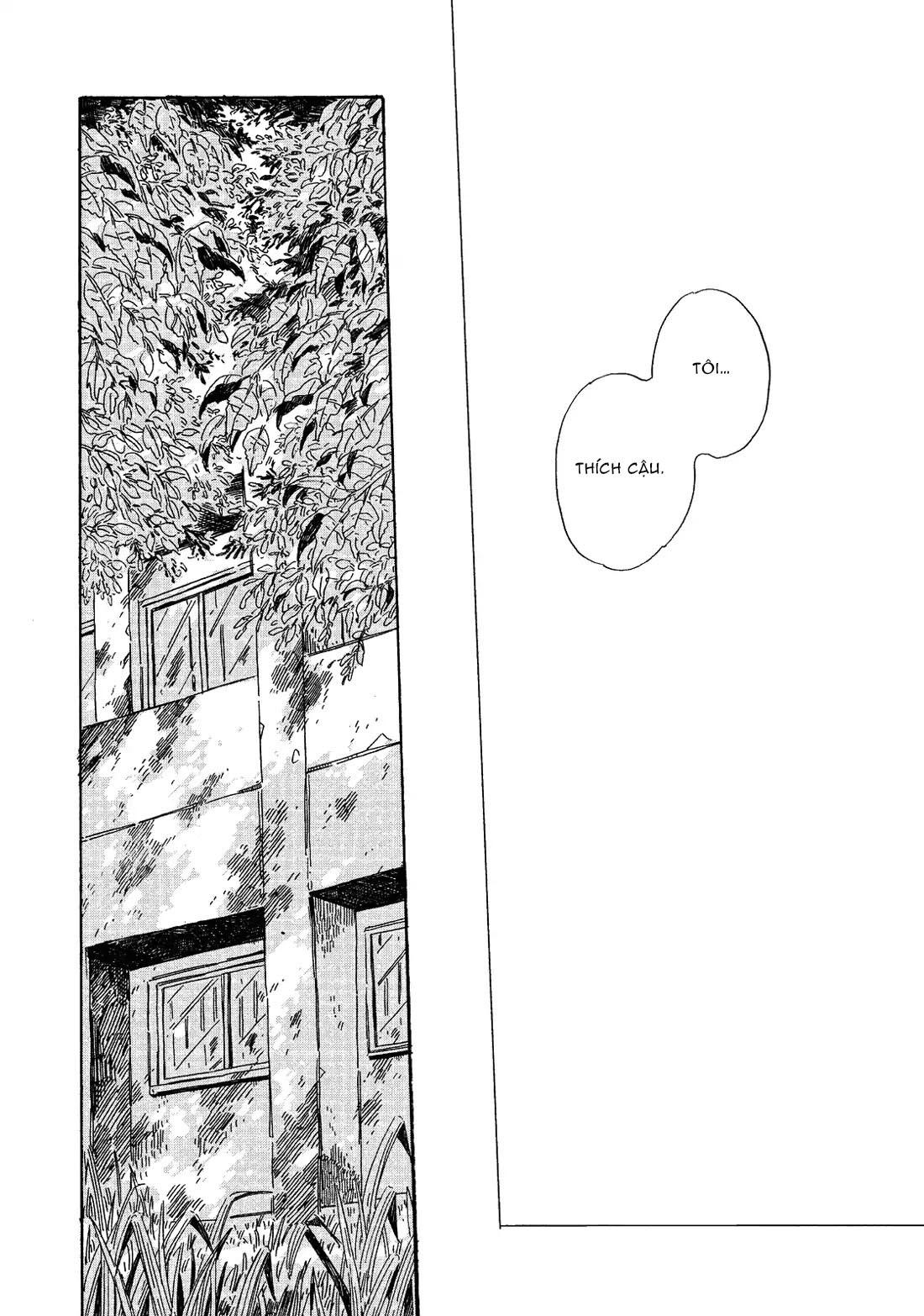 Vũ Điệu Của Ánh Sáng - Chap 6