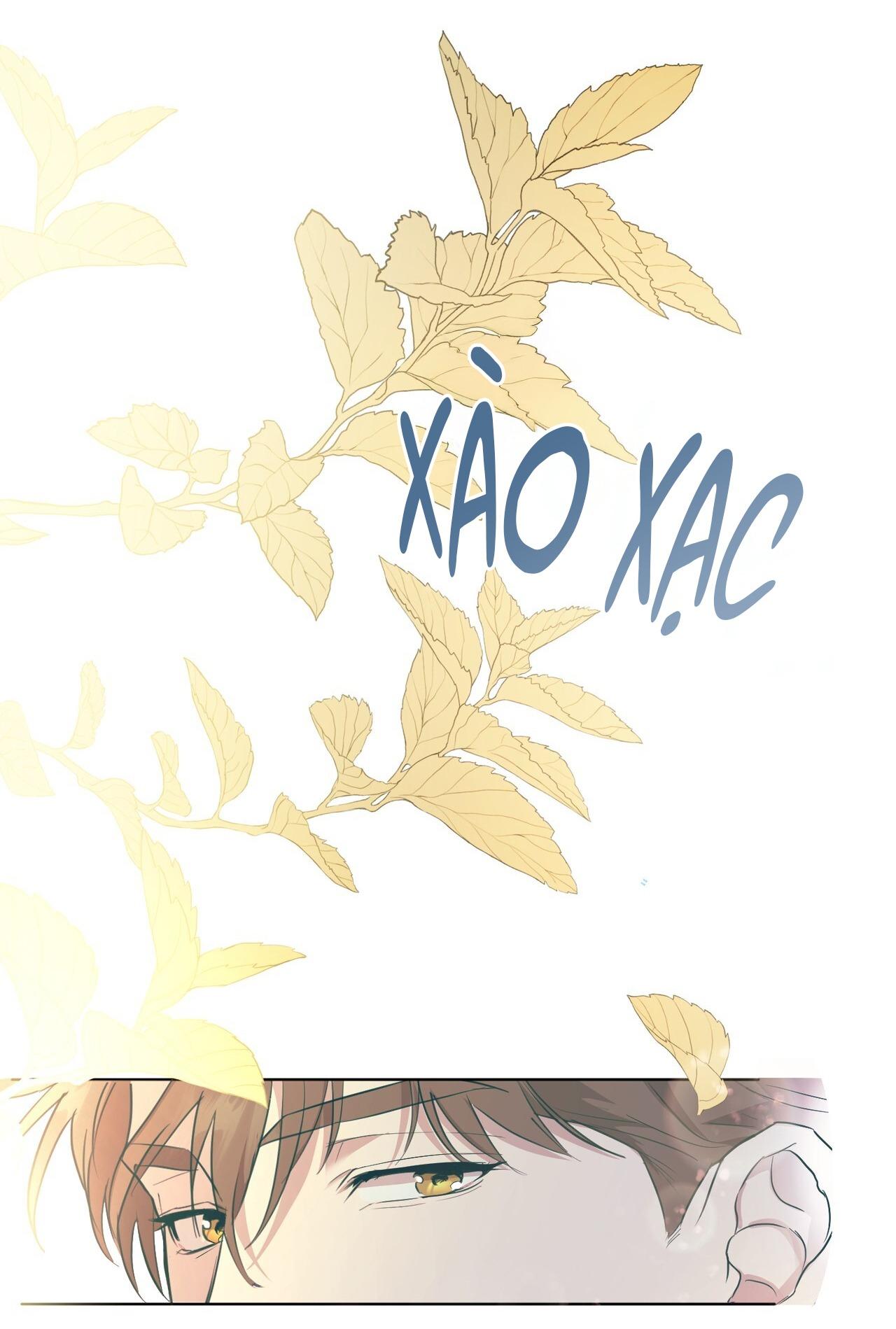 TÌNH YÊU KẸO BẠC HÀ - Chap 1