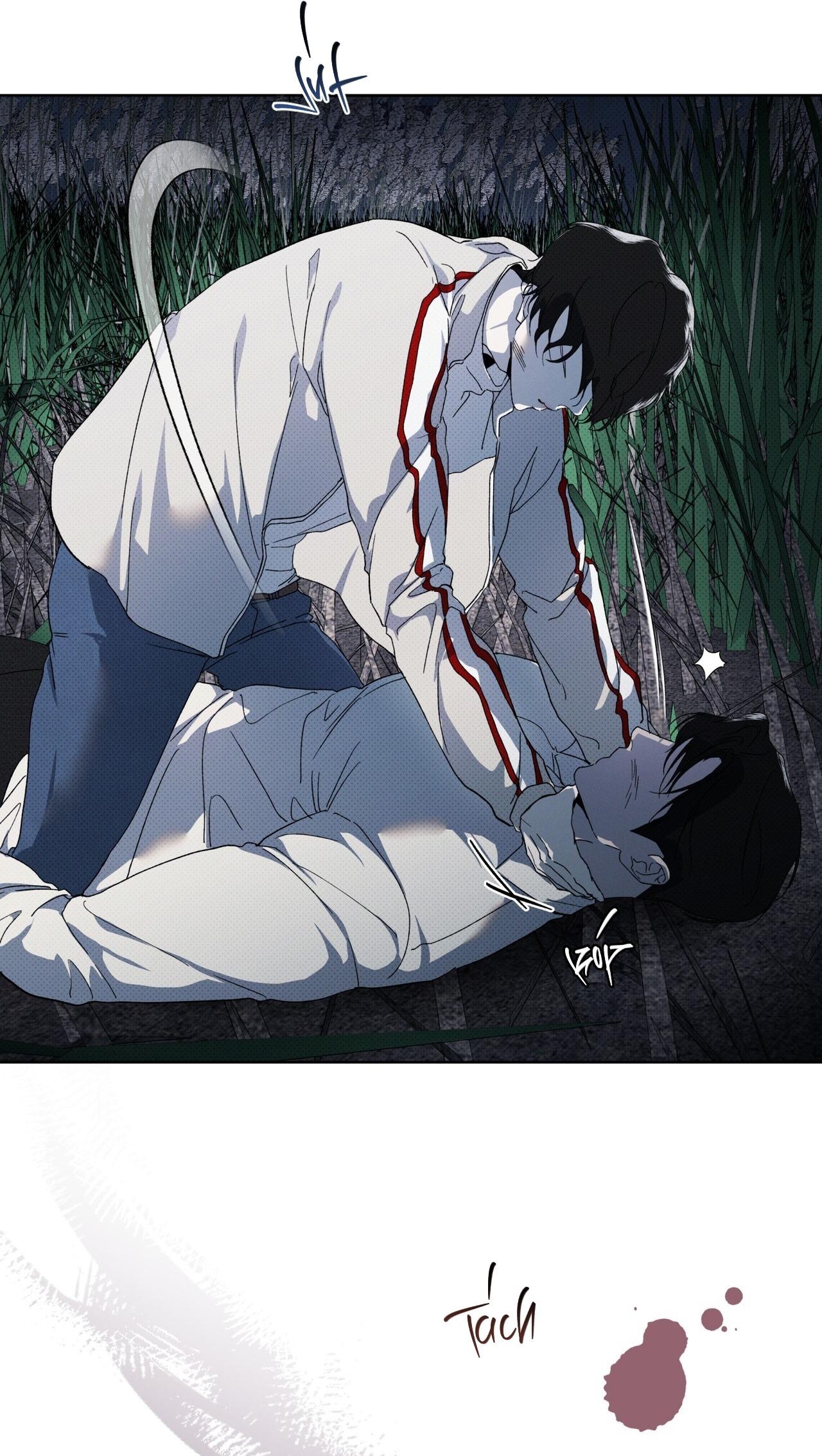 (GĐCV) HÌNH THÁI TIẾN HÓA - Chap 13