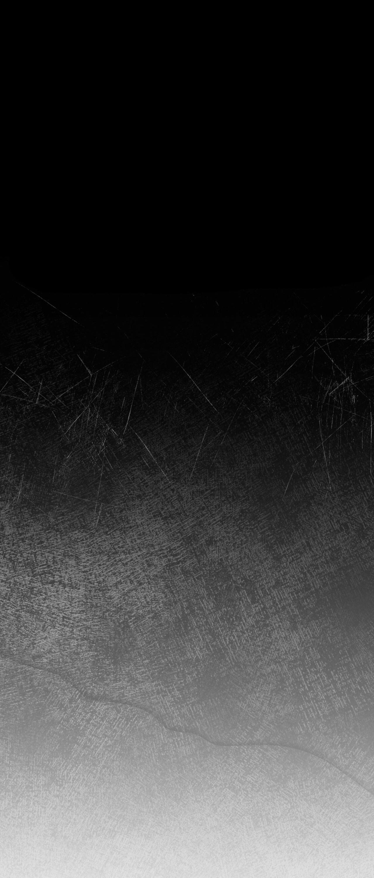 (GĐCV) HÌNH THÁI TIẾN HÓA - Chap 4