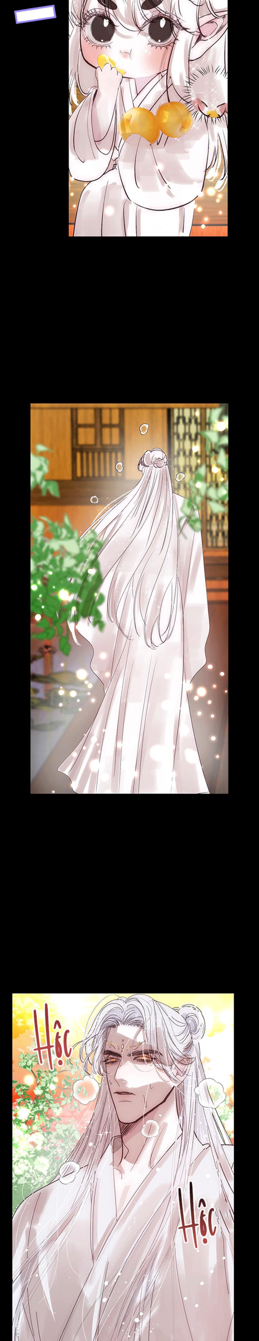 Vài Câu Chuyện Với Sư Tôn Sau Khi Xuyên Sách - Chap 81.1 - Trang 13