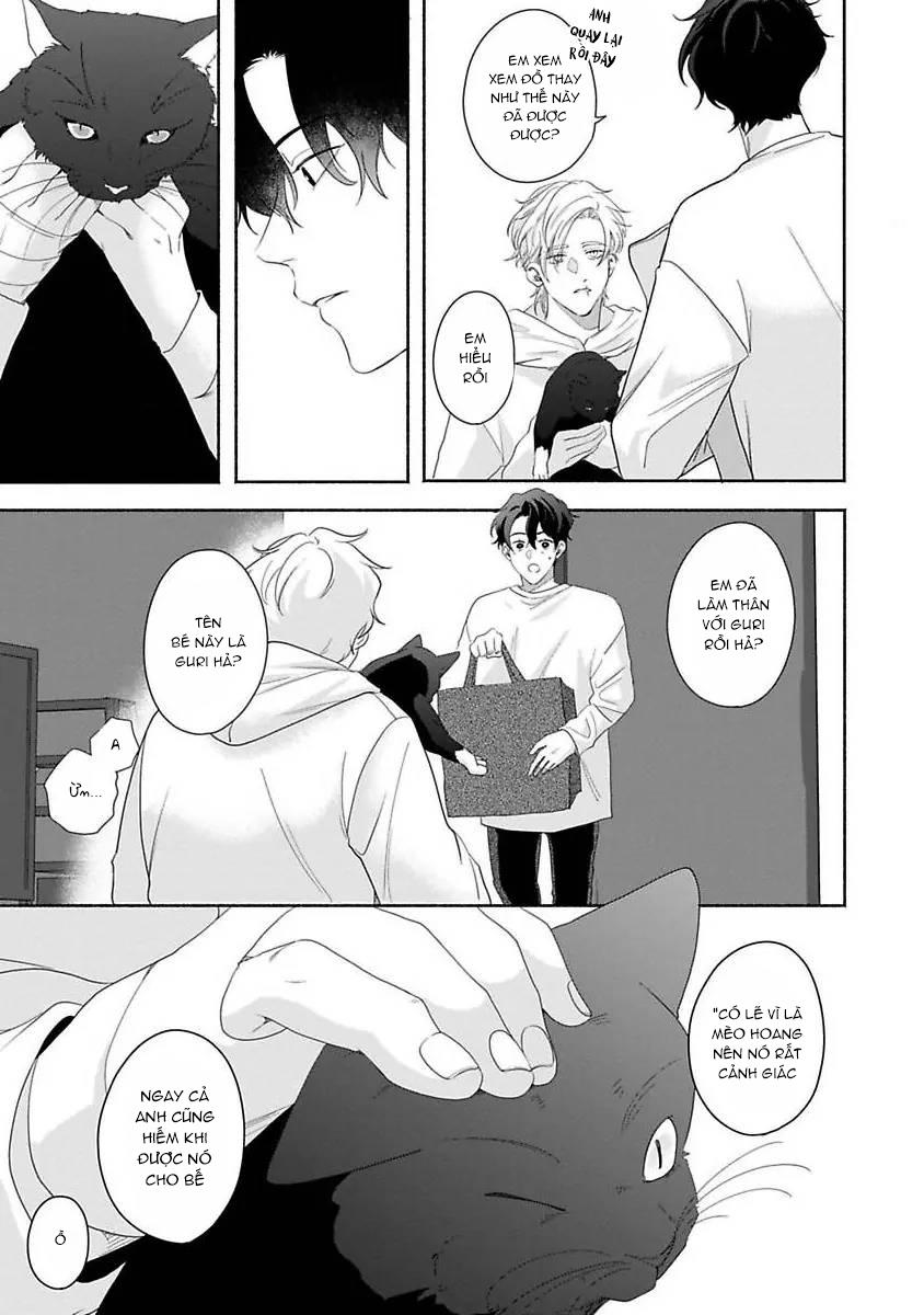 Chú mèo tinh nghịch và giấc mơ giữa ban ngày - Chap 2