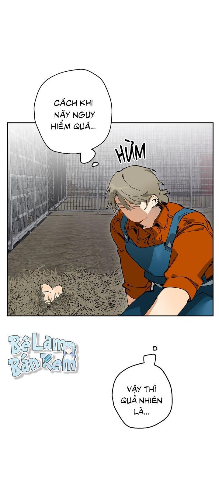 Mr.A's Farm - Chap 9