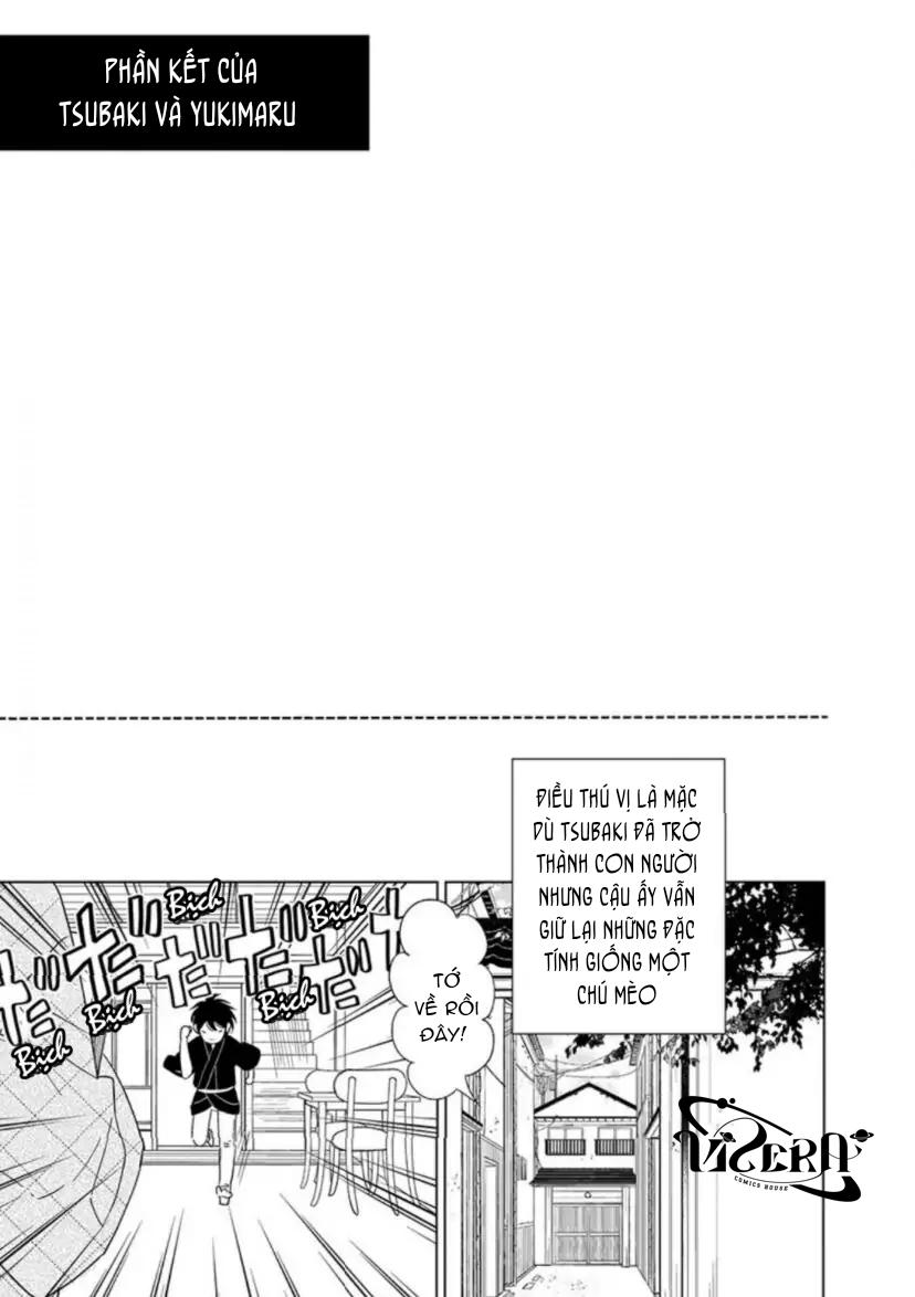 Vào Một Đêm Đầy Sao, Tình Yêu Đã Đến - Chap 5