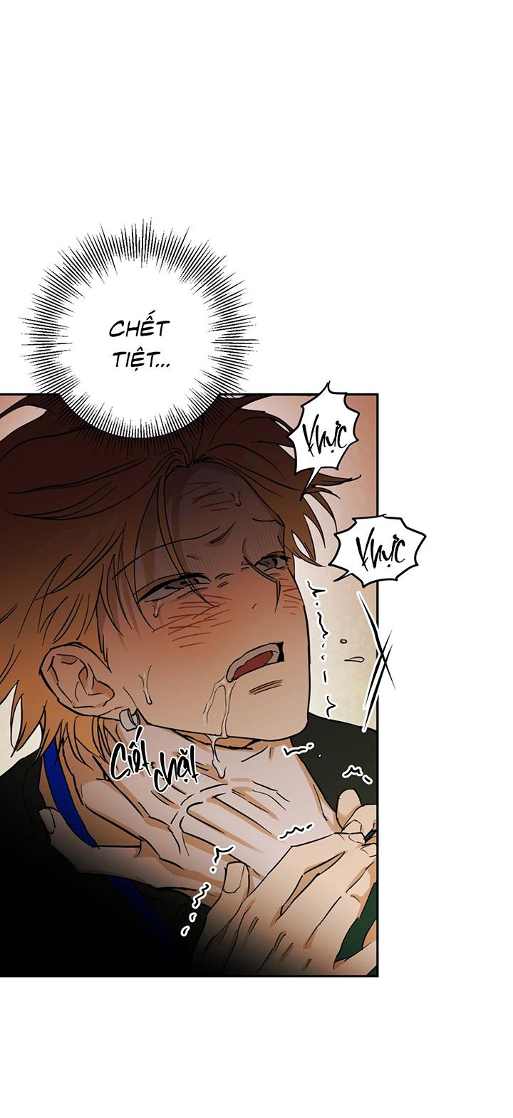 Phiên Bản Hoàn Hảo - Chap 1