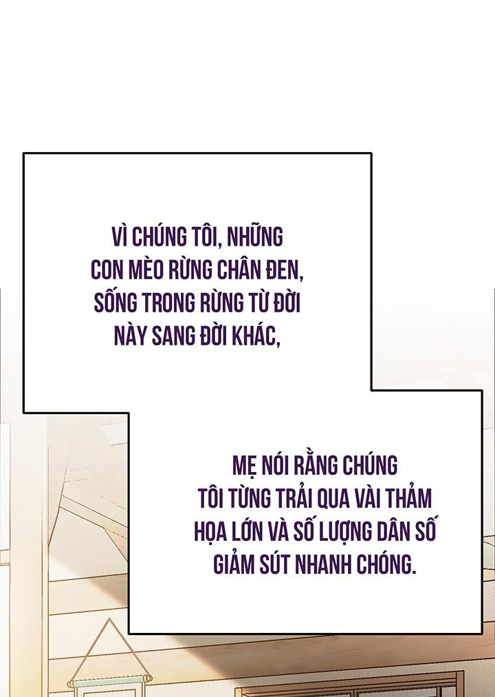 [DDT] HÃY SINH NHẤT MIÊU HÀI WILDCAT, NHƯ BẤT DỤC KIẾN NGÃ PHÁT CUỒNG! - Chap 1