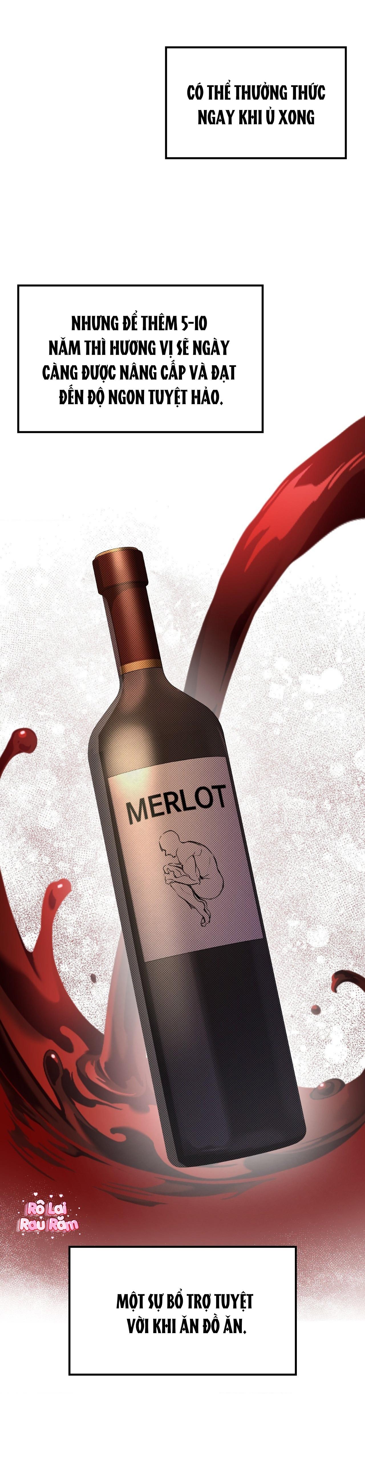 TRANH VẼ - Chap 17