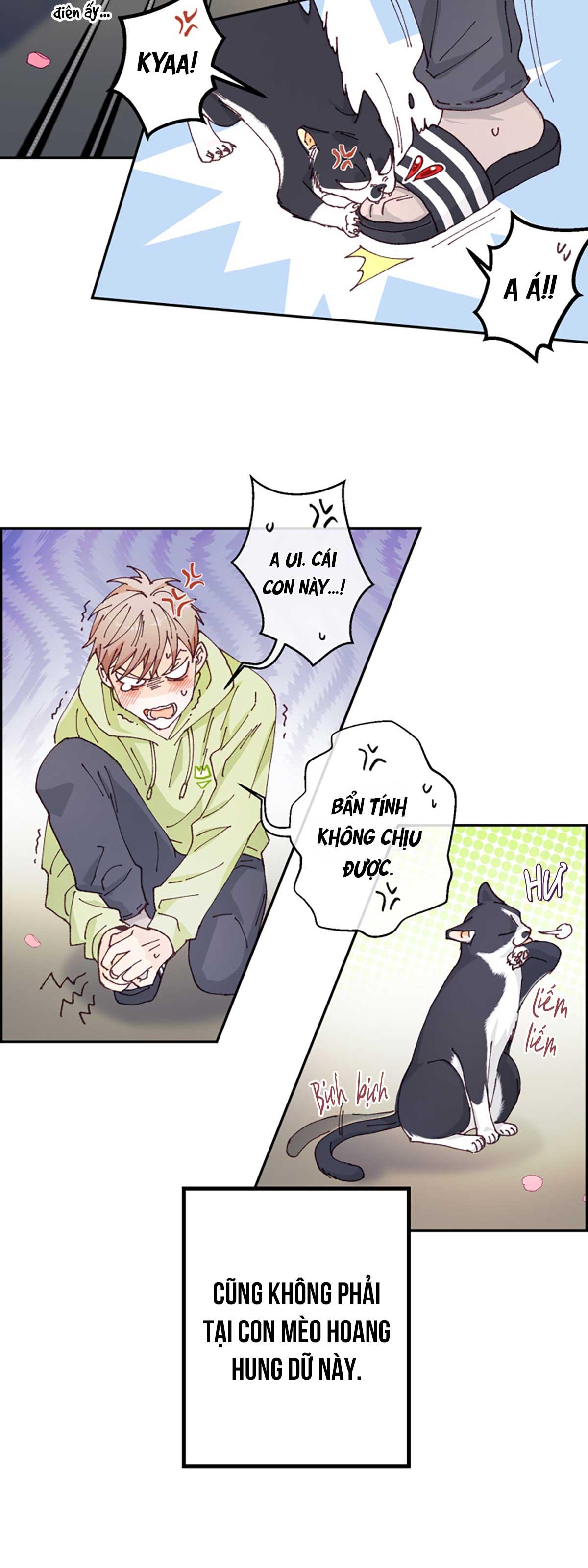 NGƯỜI HÀNG XÓM QUYẾN RŨ CỦA TÔI - Chap 1