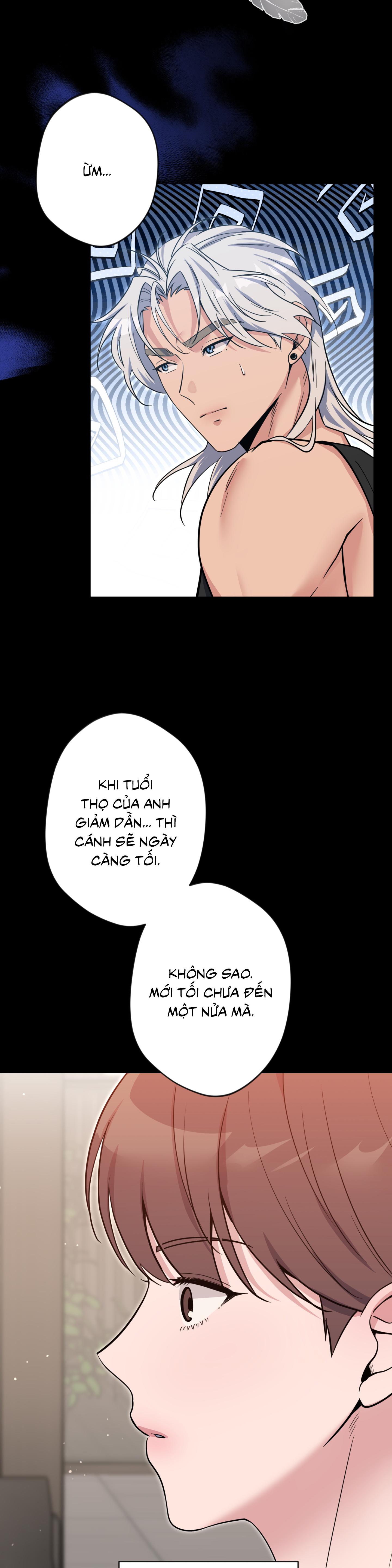 Angel kiss - Chap 50