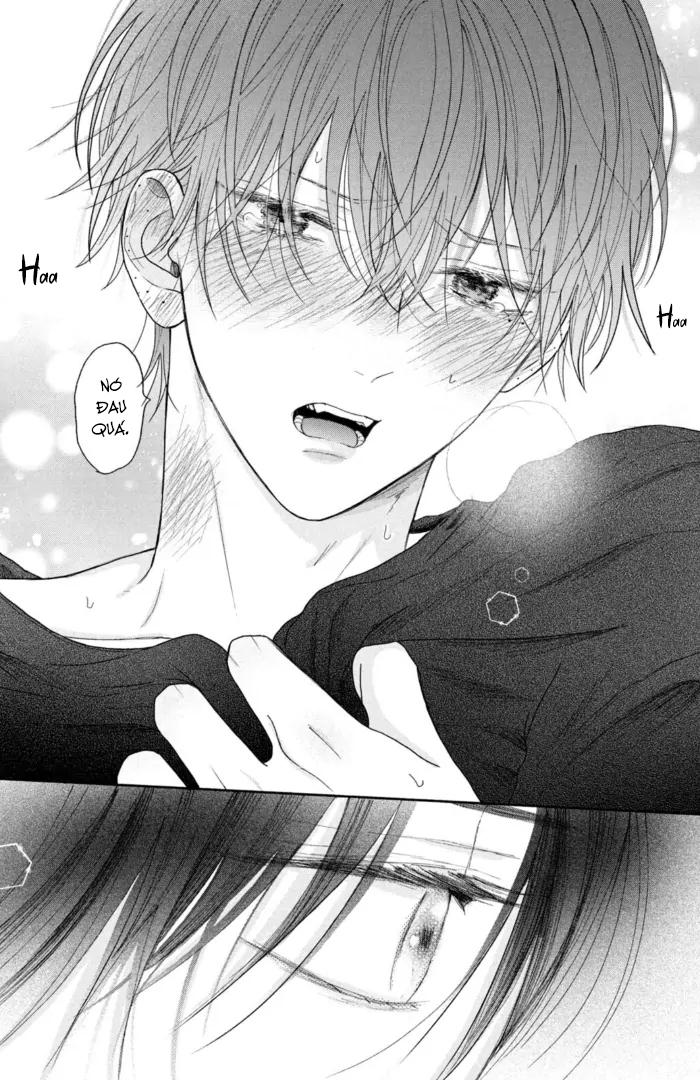 Tình Yêu Không Thể Giấu - Chap 4