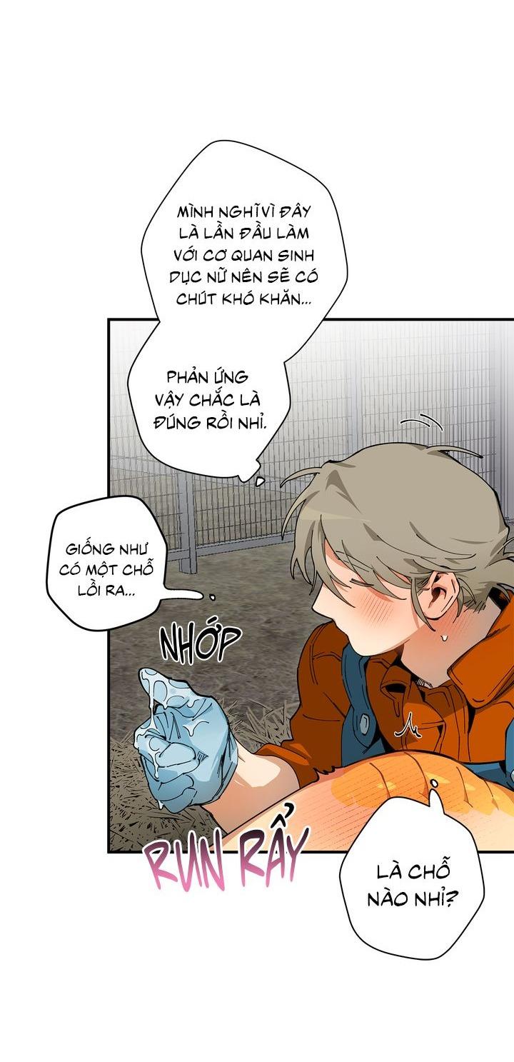 Mr.A's Farm - Chap 9