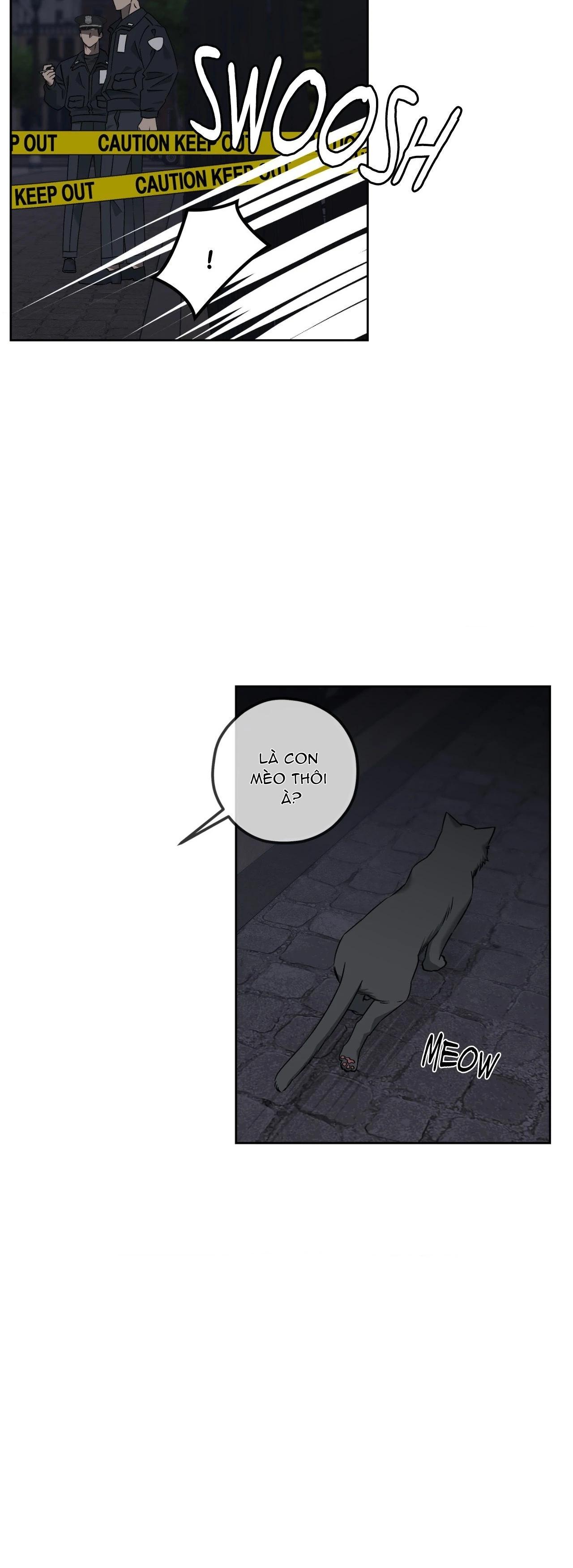 Vụ Án Mạng Kinh Hoàng Tại Số 19 Phố Sunset - Chap 3