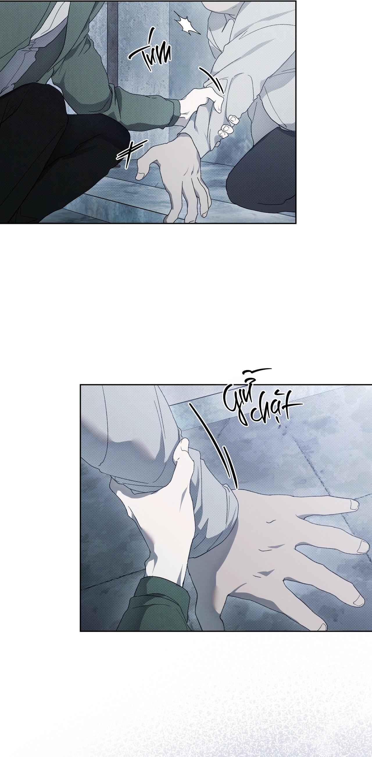 (GĐCV) HÌNH THÁI TIẾN HÓA - Chap 3