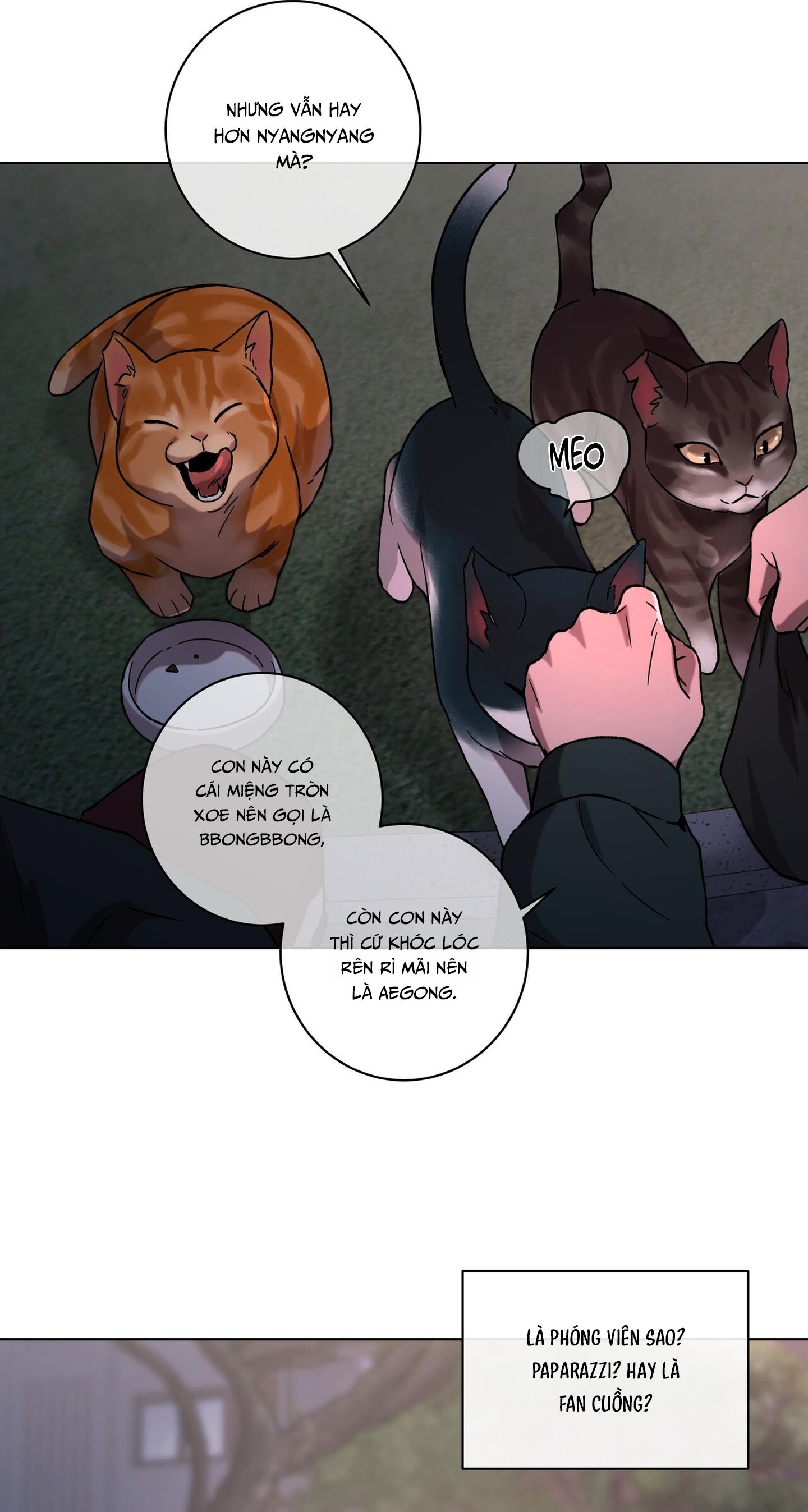 TUYỂN TẬP ÁM ẢNH, MƯU MÔ CÔNG - Chap 9.1 - Trang 29