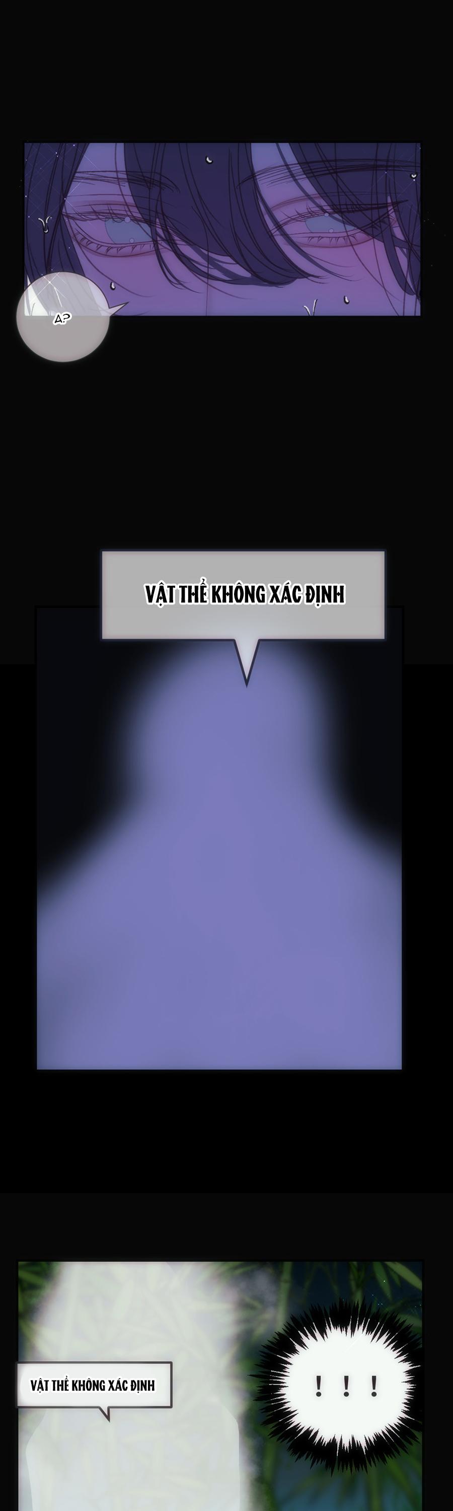 Vài Câu Chuyện Với Sư Tôn Sau Khi Xuyên Sách - Chap 77.3 - Trang 25