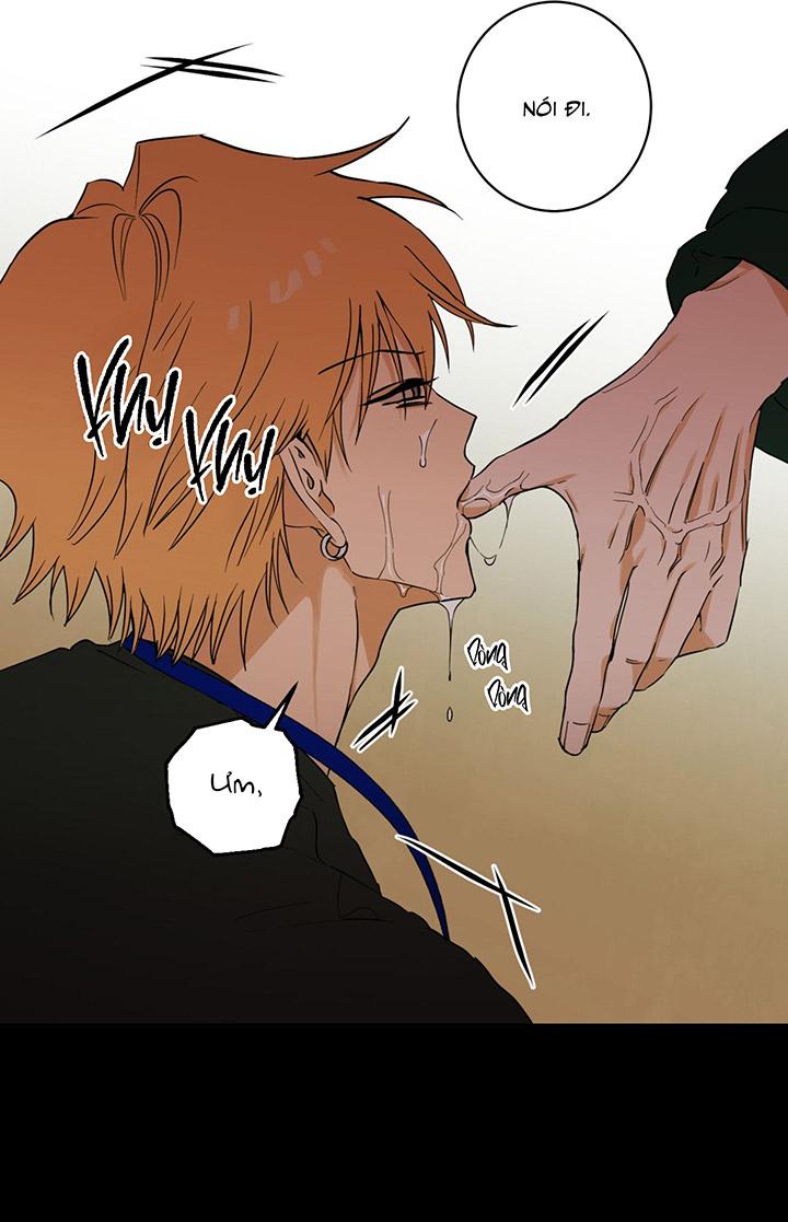 Phiên Bản Hoàn Hảo - Chap 2