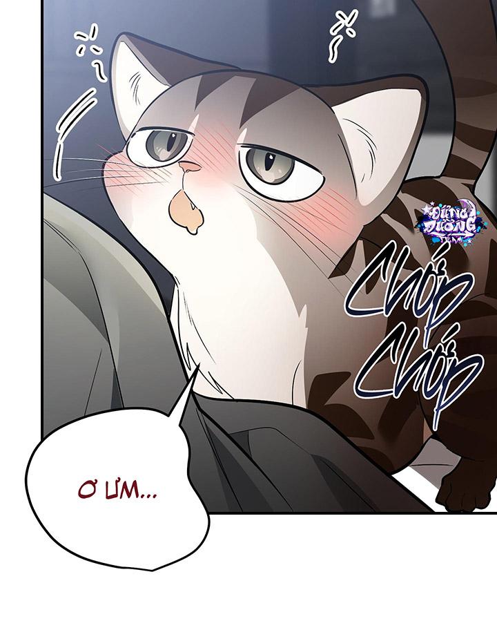 [DDT] HÃY SINH NHẤT MIÊU HÀI WILDCAT, NHƯ BẤT DỤC KIẾN NGÃ PHÁT CUỒNG! - Chap 1