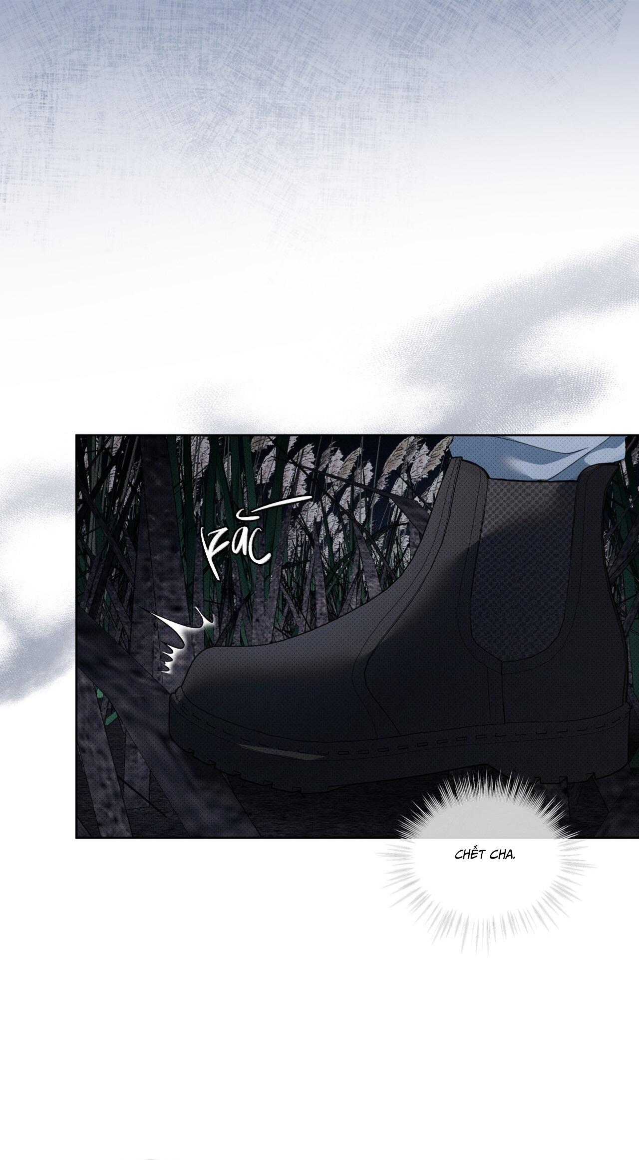 (GĐCV) HÌNH THÁI TIẾN HÓA - Chap 13