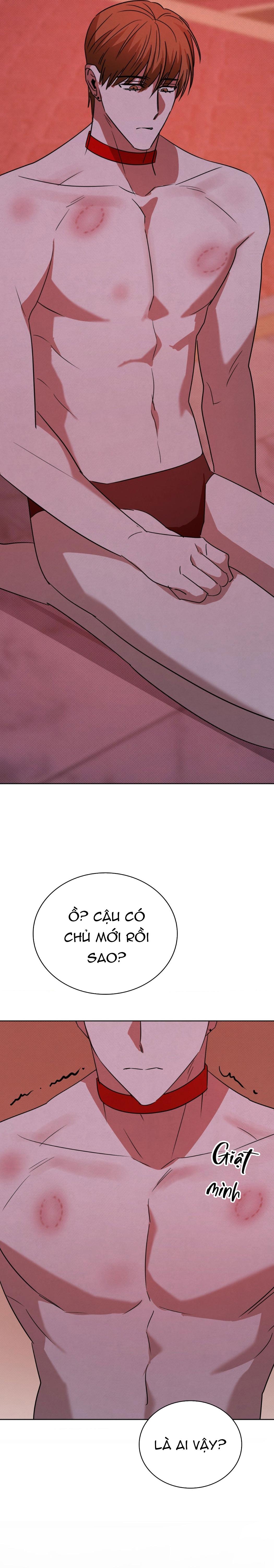 TRANH VẼ - Chap 23