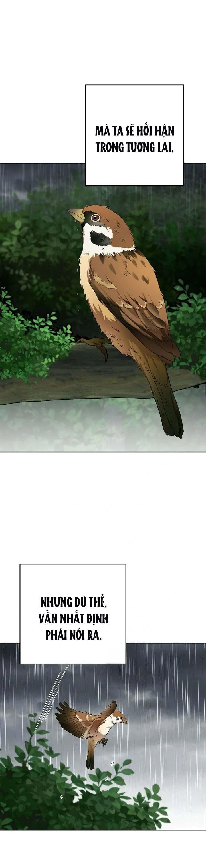 Niềm An Ủi Ngày Chủ Nhật - Chap 65