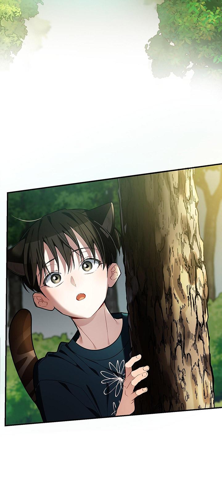 [DDT] HÃY SINH NHẤT MIÊU HÀI WILDCAT, NHƯ BẤT DỤC KIẾN NGÃ PHÁT CUỒNG! - Chap 1