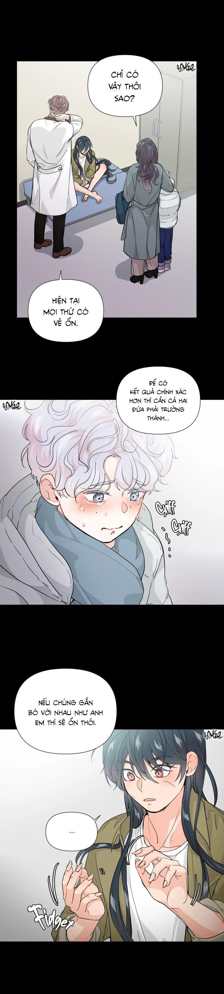 BÁNH GẠO SINH NHẬT CỦA HỔ - Chap 2