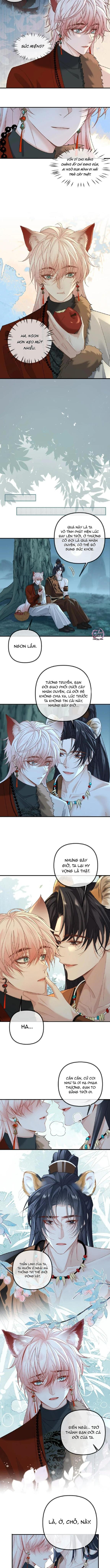 Khát Vọng Ngọt Ngào - Chap 433