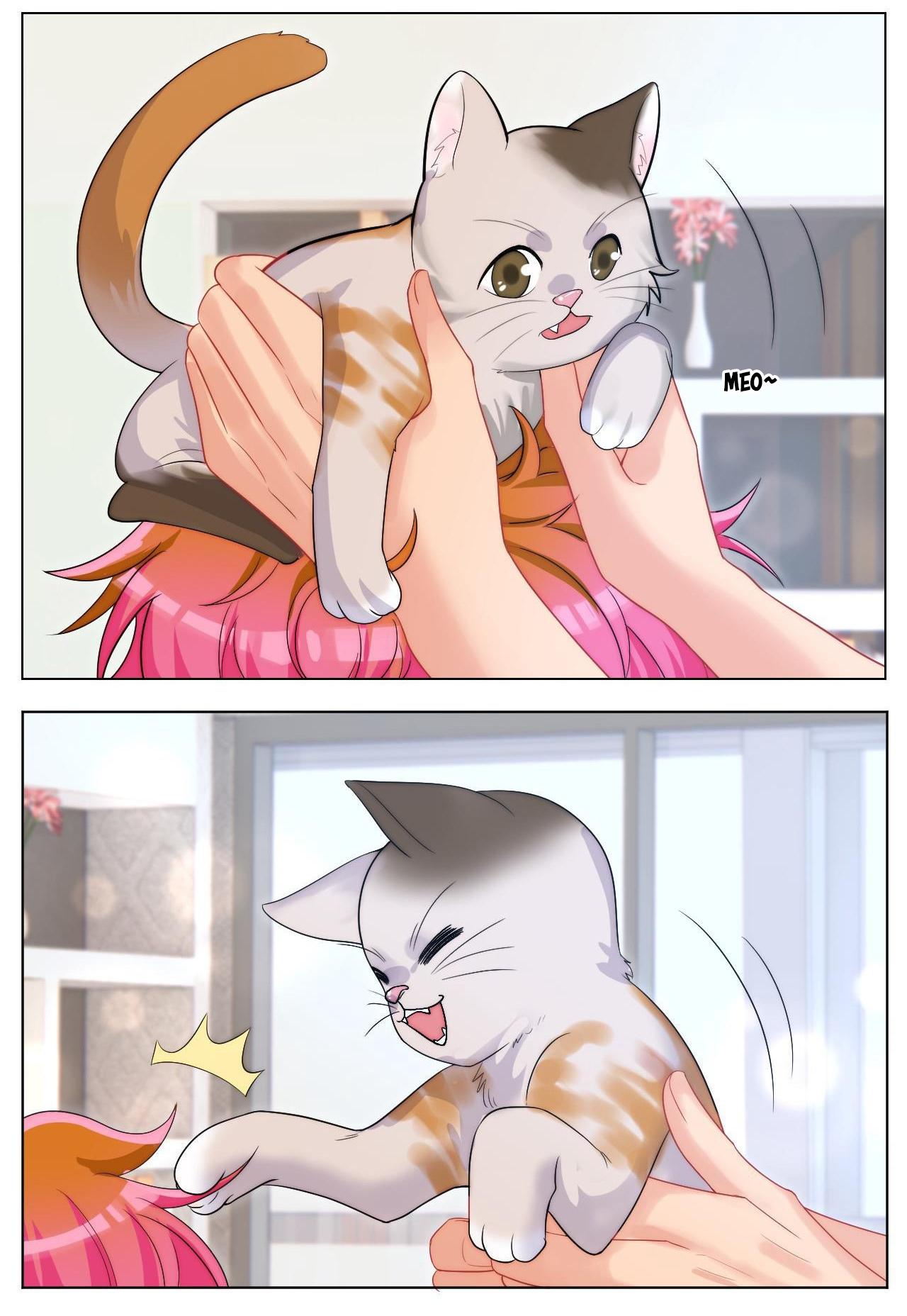 Ký túc xá nam phòng 303 - Chap 249