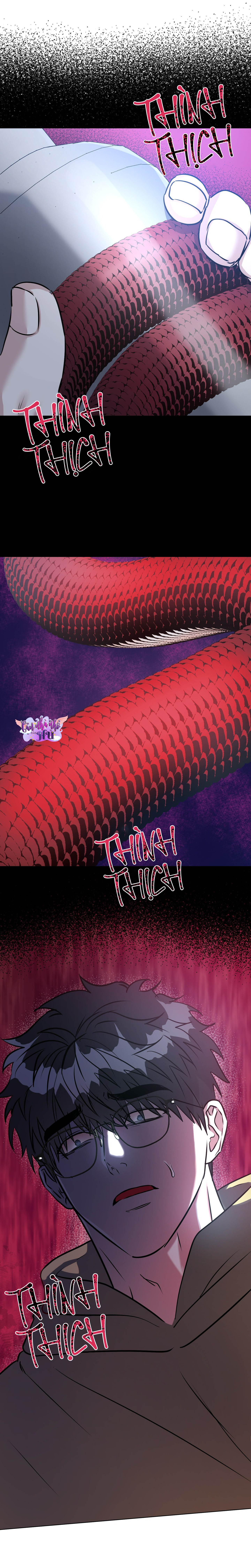 RƠI VÀO VỰC THẲM CỦA RẮN - Chap 23