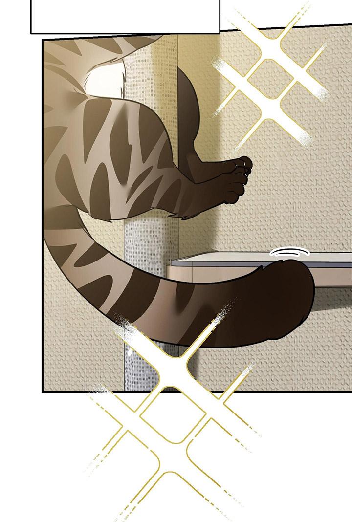 [DDT] HÃY SINH NHẤT MIÊU HÀI WILDCAT, NHƯ BẤT DỤC KIẾN NGÃ PHÁT CUỒNG! - Chap 1