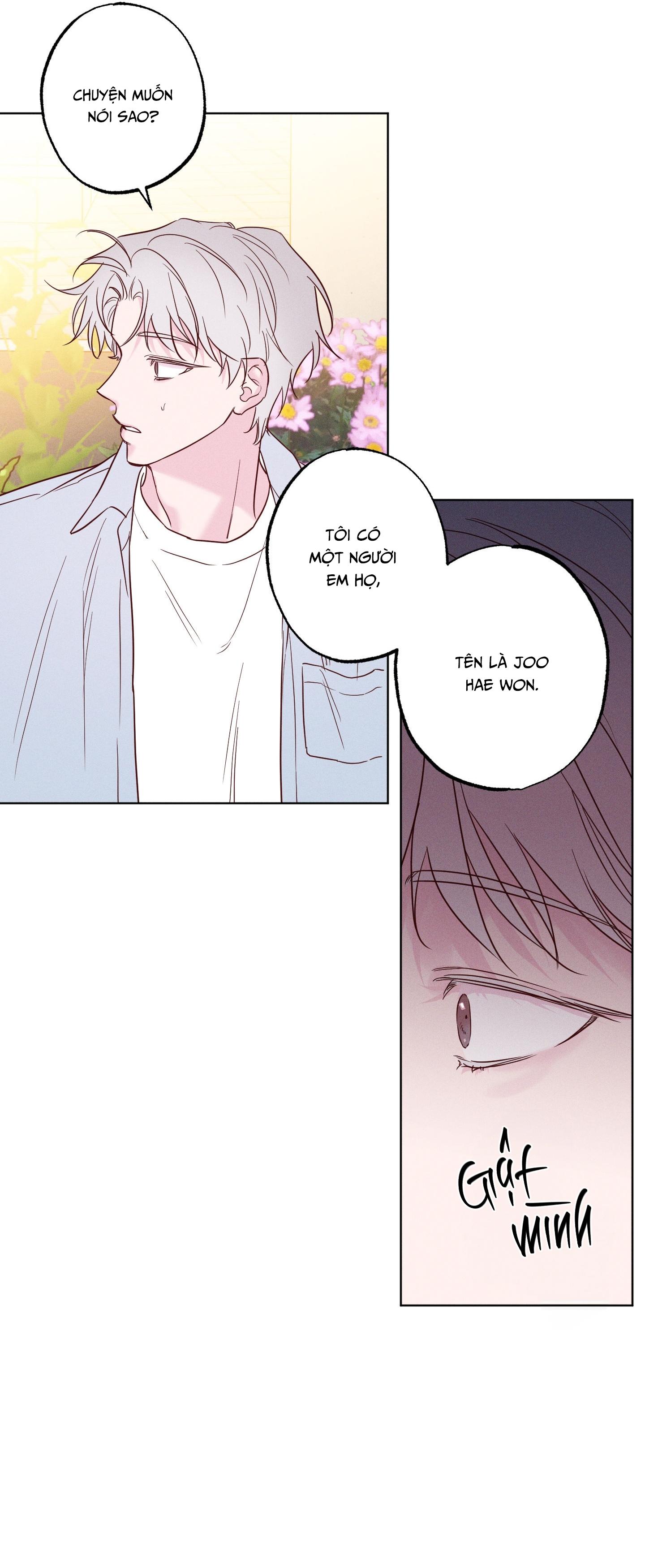 BỜ SÓNG VỖ - Chap 41