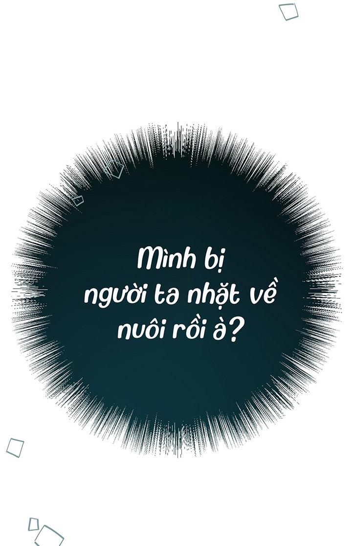 [DDT] HÃY SINH NHẤT MIÊU HÀI WILDCAT, NHƯ BẤT DỤC KIẾN NGÃ PHÁT CUỒNG! - Chap 1