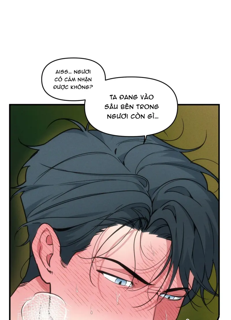 ANH CHỒNG TẾ PHẨM - Chap 38