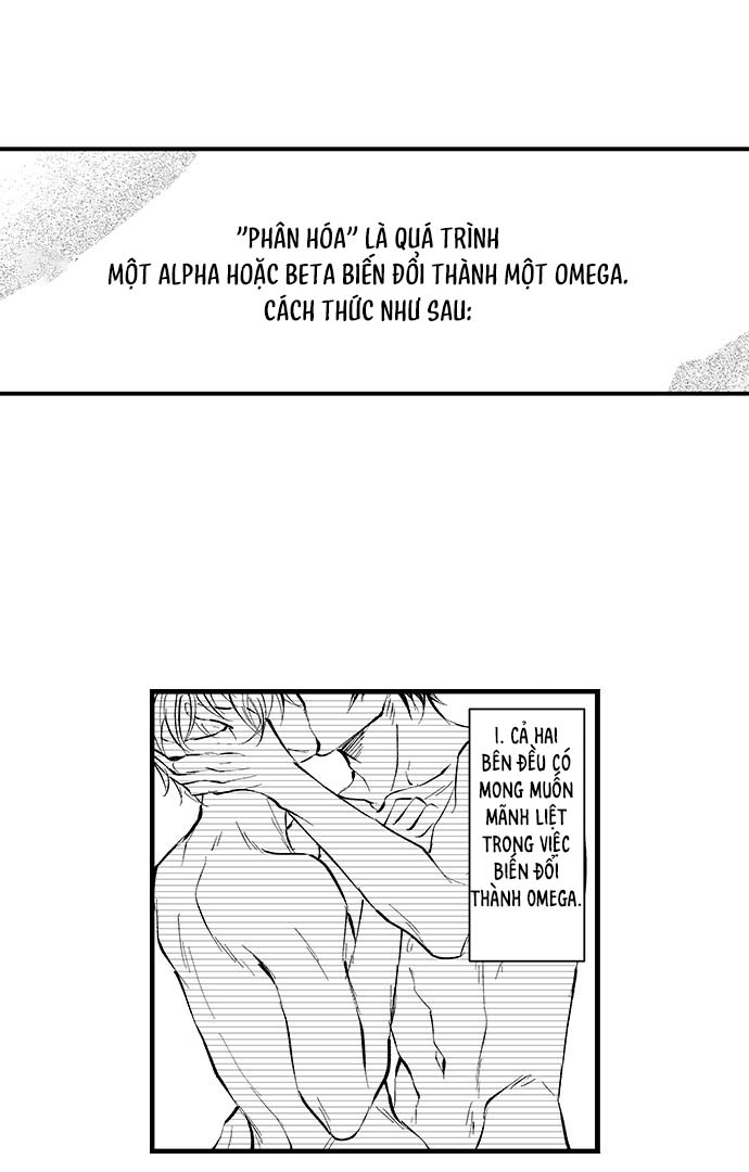 Bí Mật Thầm Kín Của Ngài Quý Tộc α - Chap 2